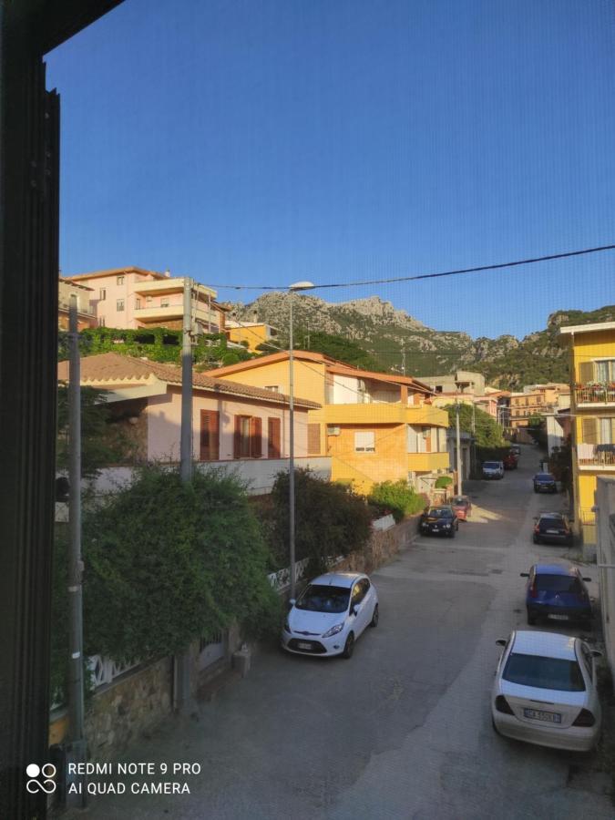 Monolocale Yellow سينيسكولا المظهر الخارجي الصورة