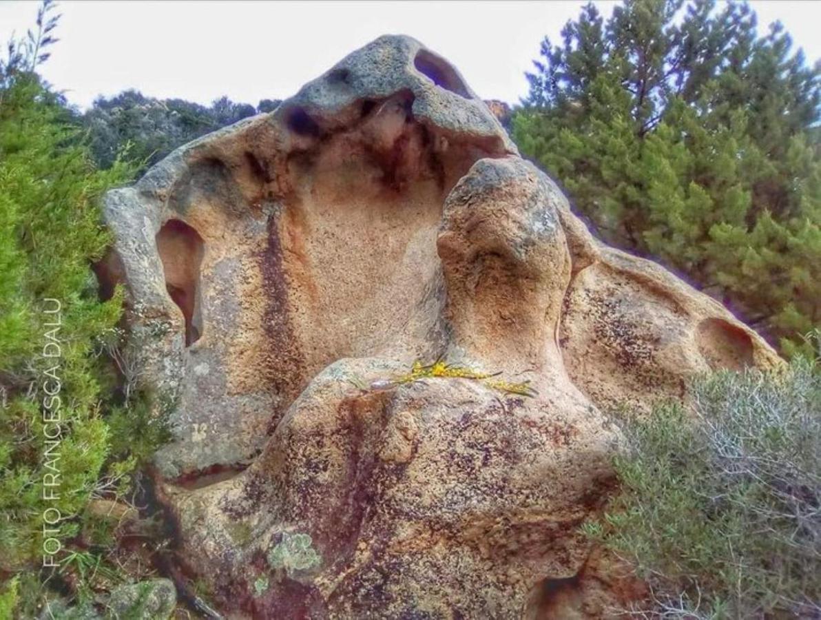 Monolocale Yellow سينيسكولا المظهر الخارجي الصورة