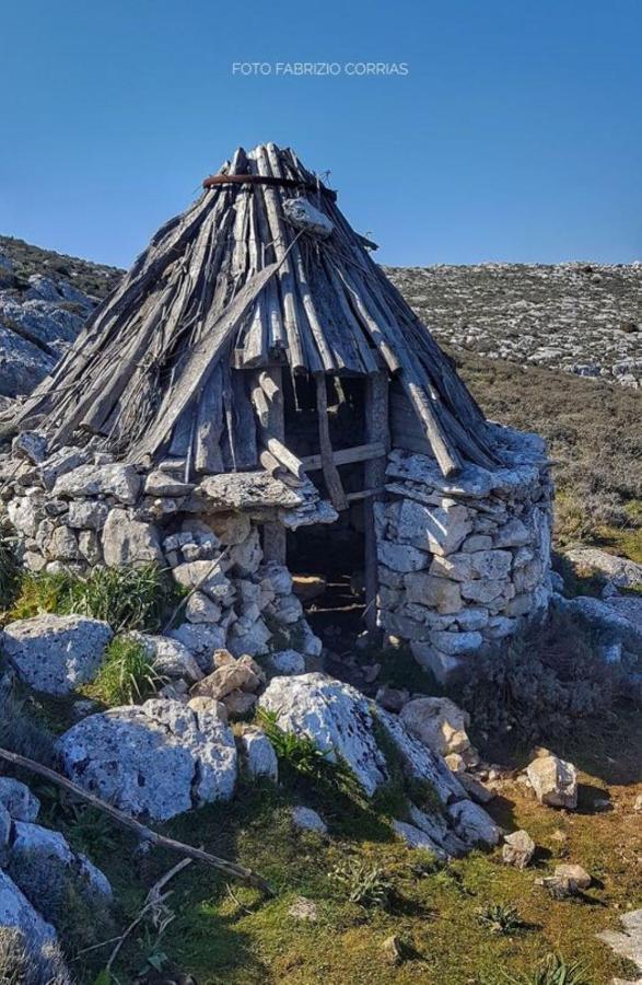 Monolocale Yellow سينيسكولا المظهر الخارجي الصورة